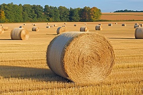 政策解讀：國家積極推進農作物秸稈綜合利用